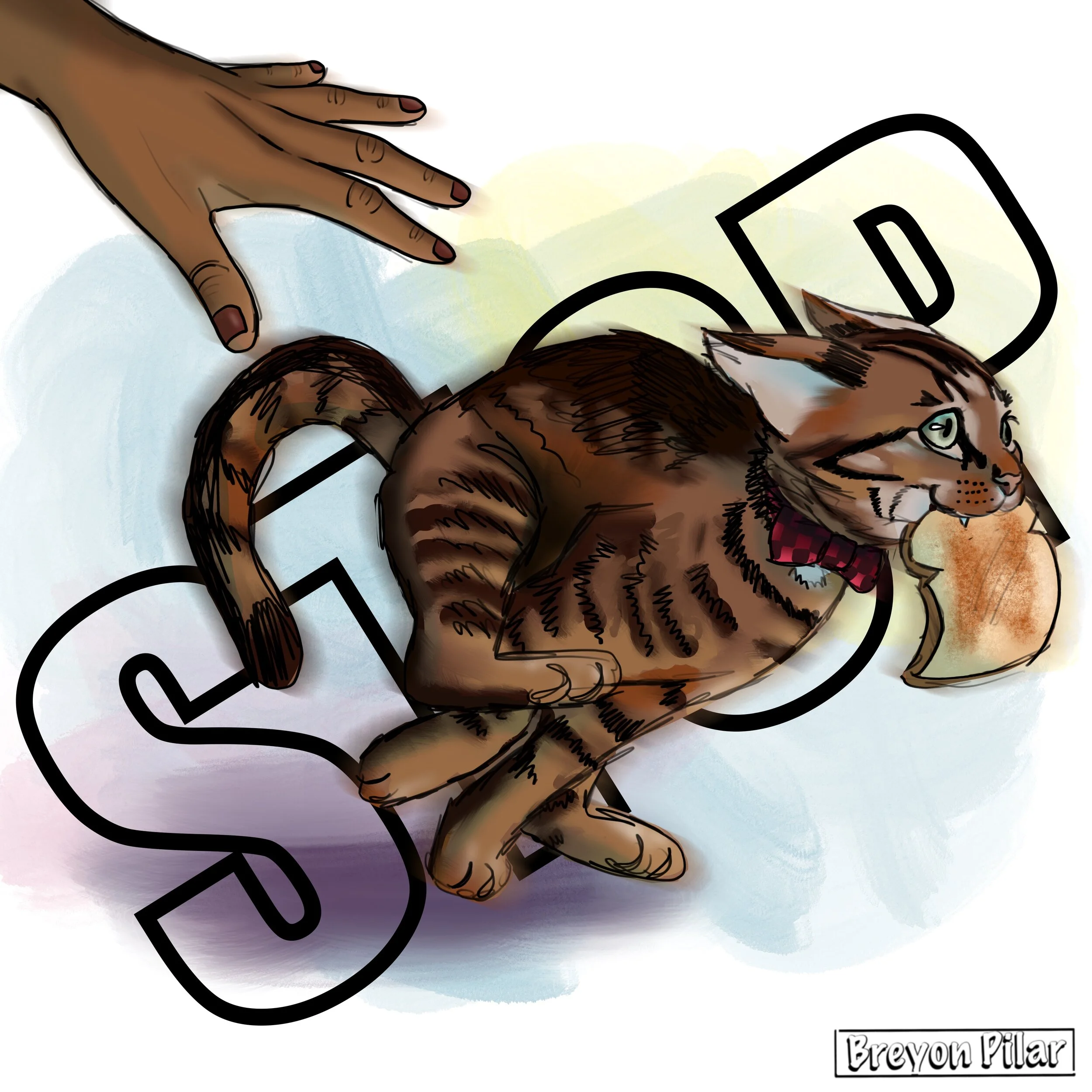 Toast - A Character study of my cat done utilizing the procreate app on the iPad Pro