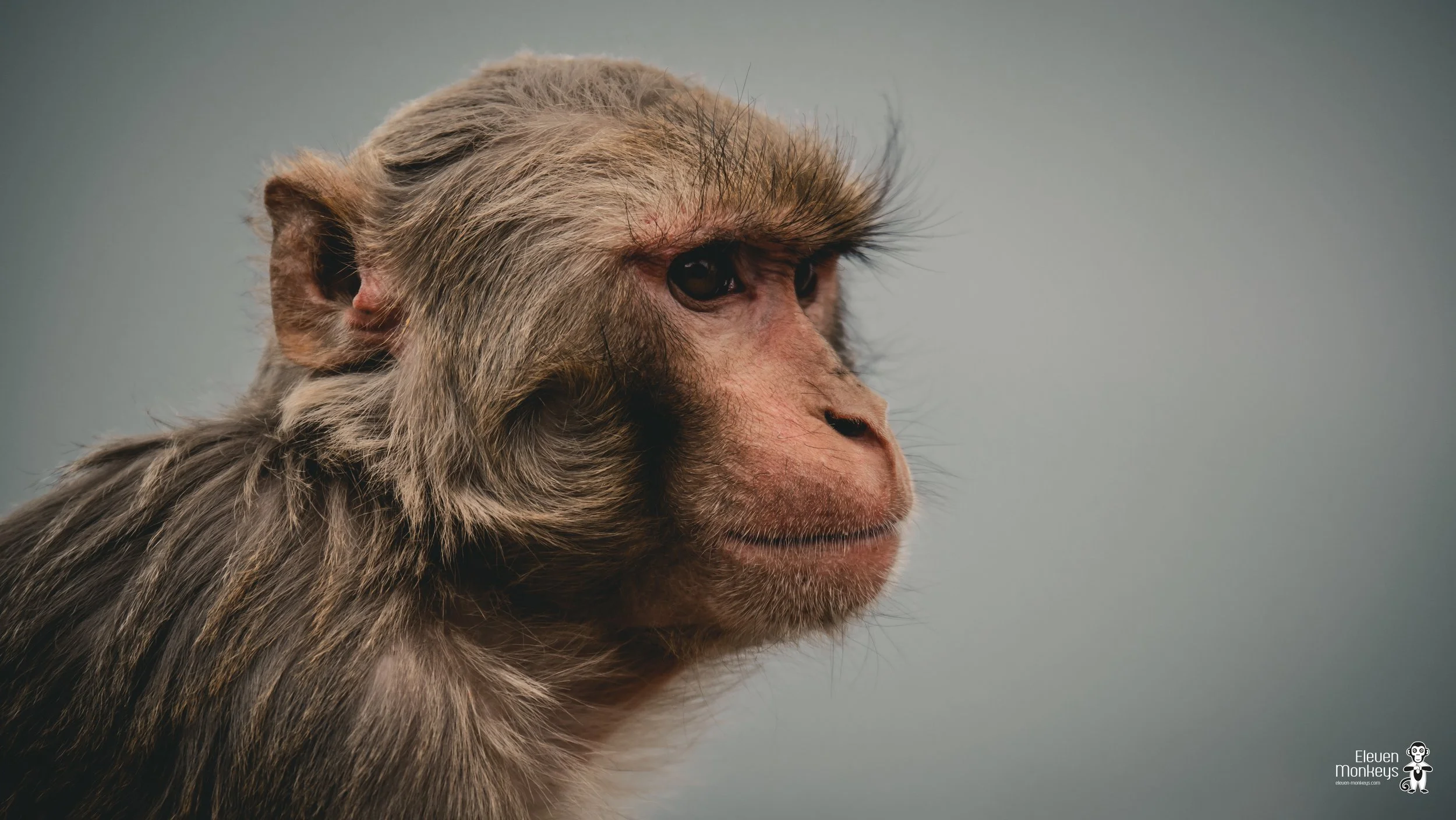 Ontdek de Nepal fotoreportage van Eleven Monkeys. Documentaire reisfotografie waarin de cultuur, mensen en landschappen van Nepal worden vastgelegd in authentieke beelden.