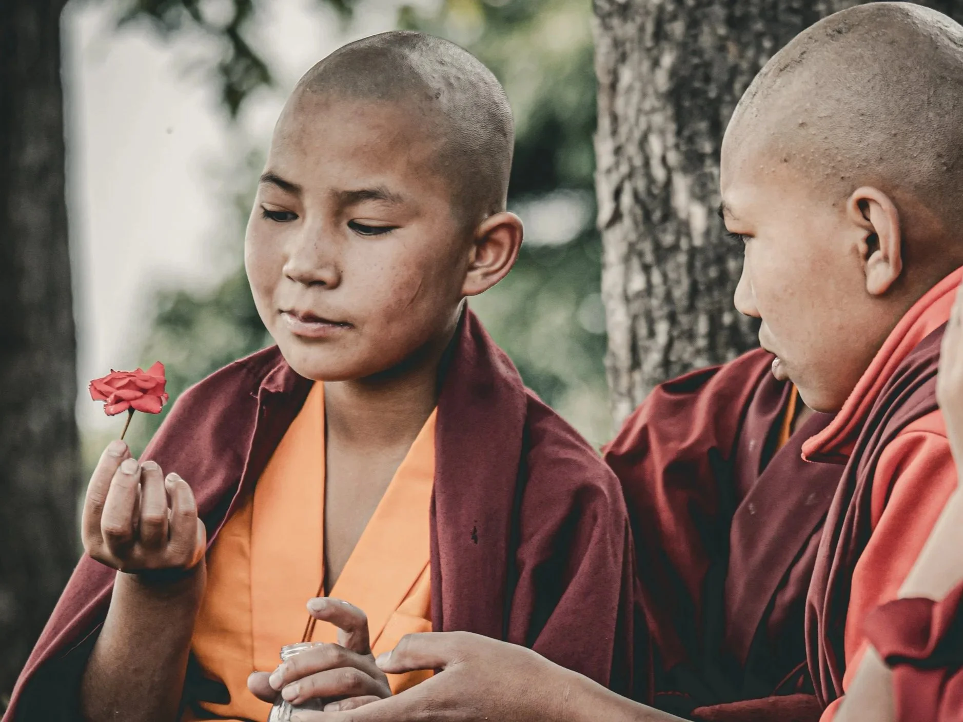 Twee jonge monniken in traditionele oranje en bruine gewaden - Storytelling en fotografie door Eleven Monkeys