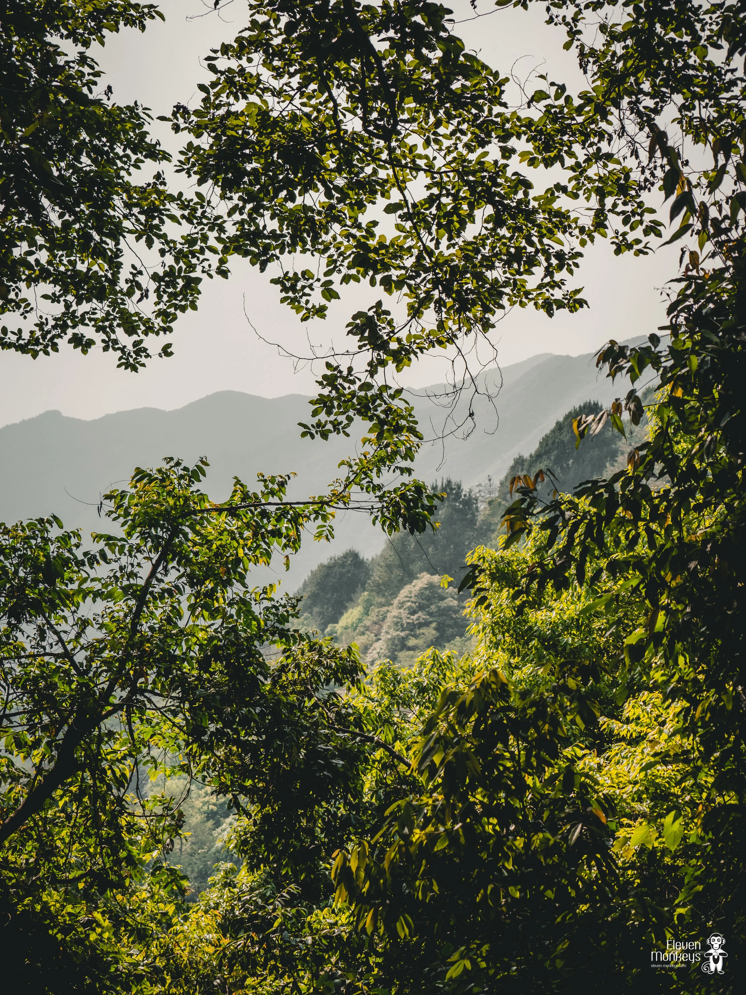Nepal-glimpse-5.jpg