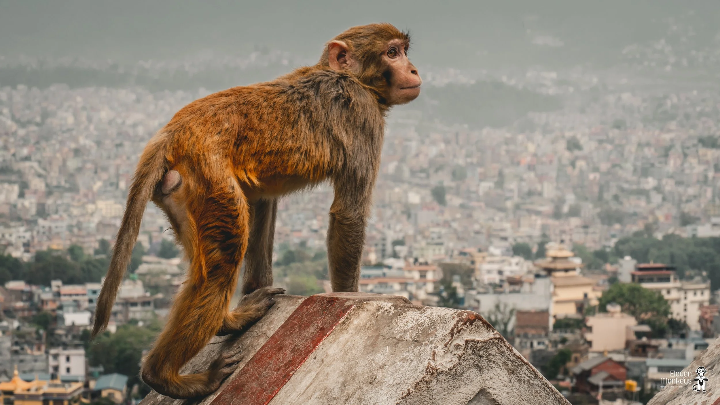 Nepal-glimpse-15.jpg