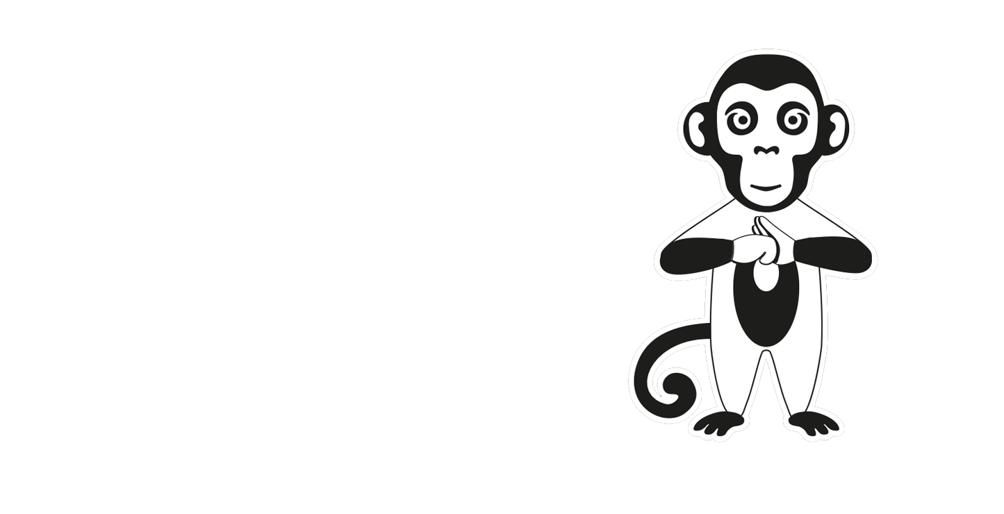 Fotograaf &amp; Videograaf | Eleven Monkeys