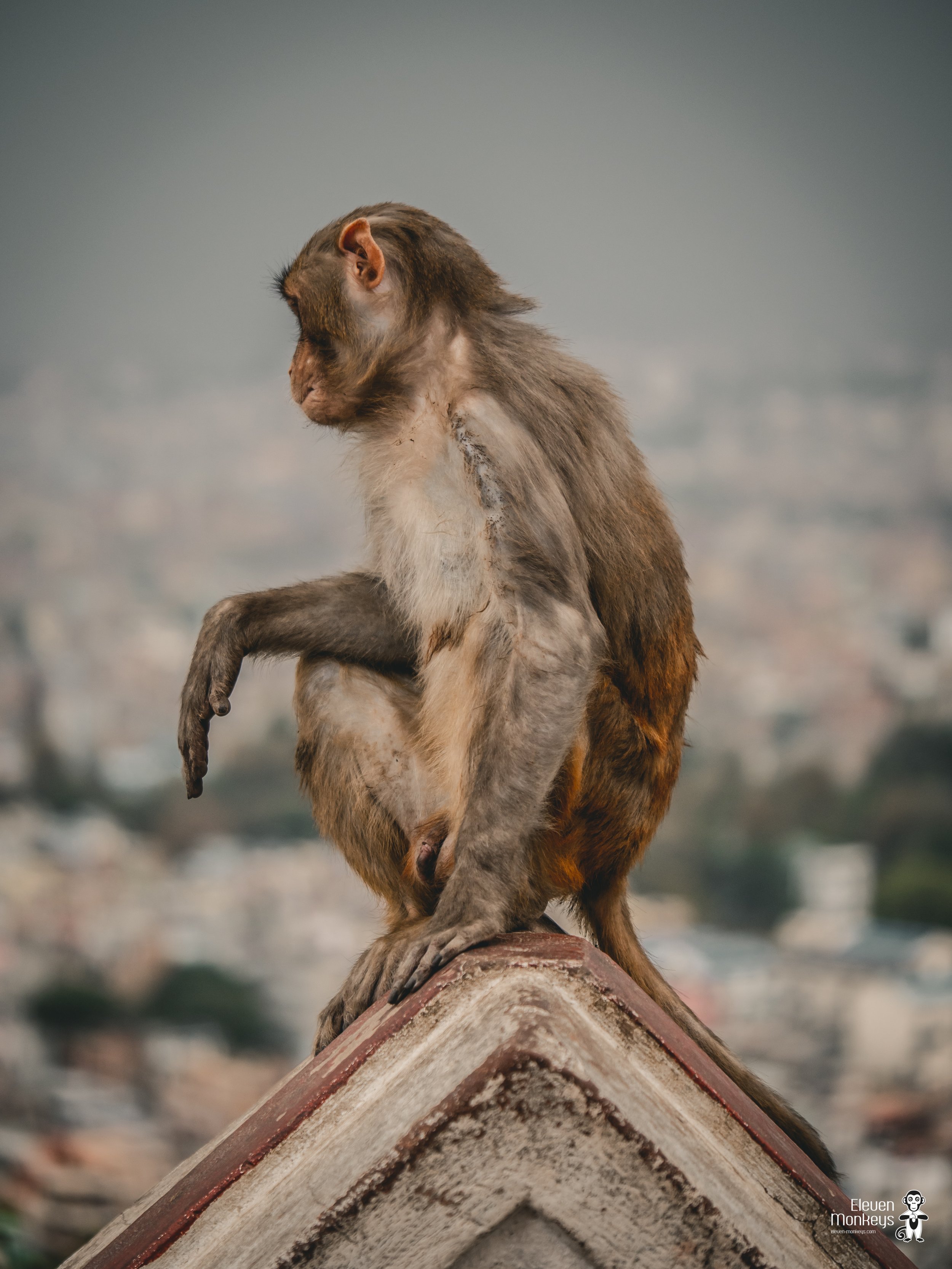 Nepal-glimpse-14.jpg