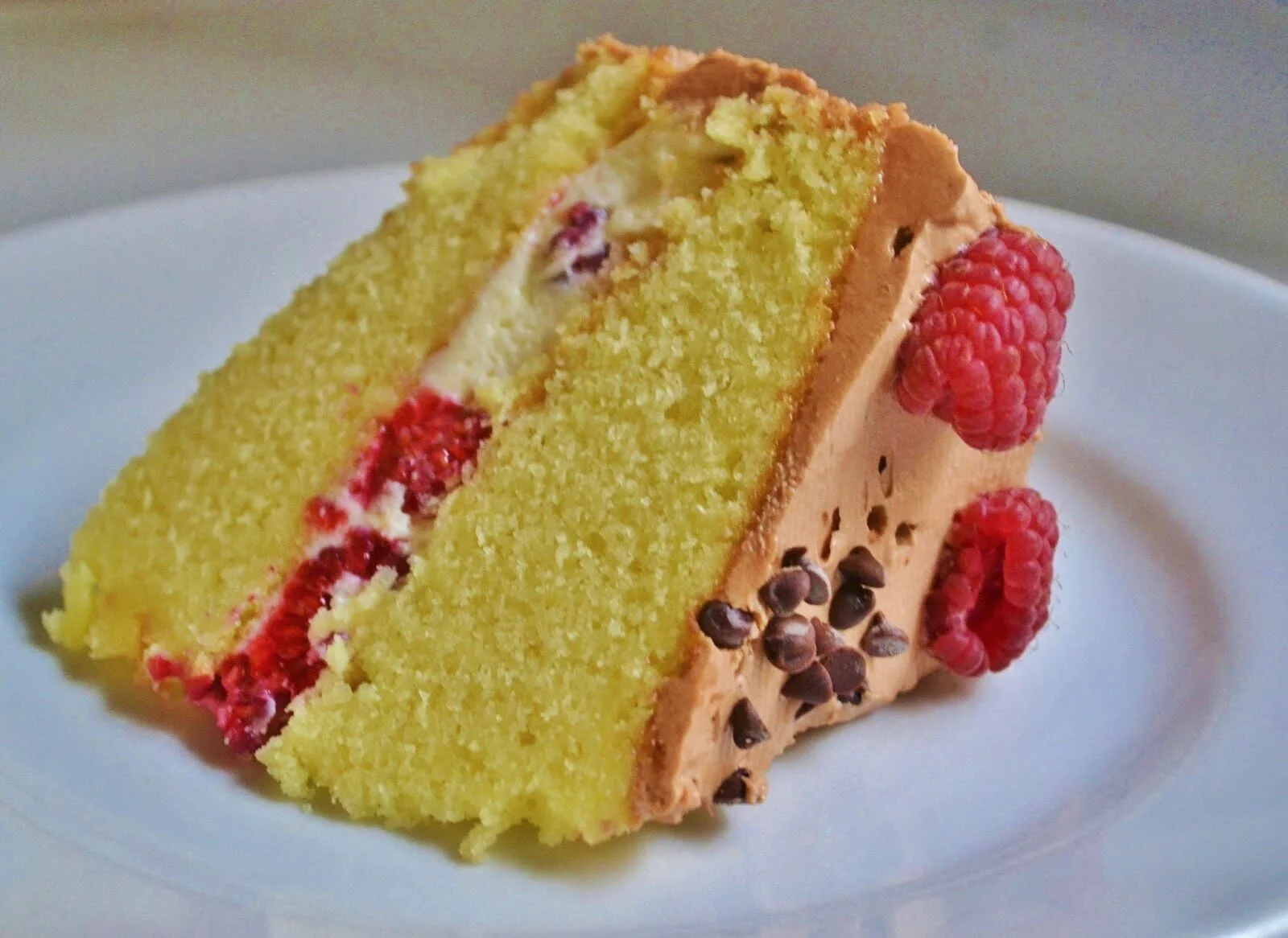 Vanilla layer cake with mascarpone raspberry filling and Nutella frosting