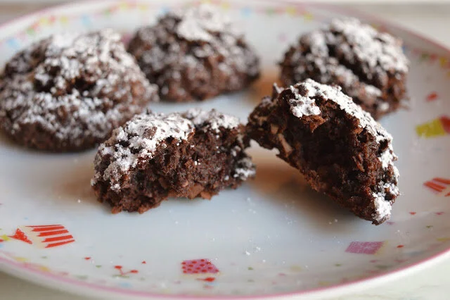 Dark Chocolate Coconut Macaroons