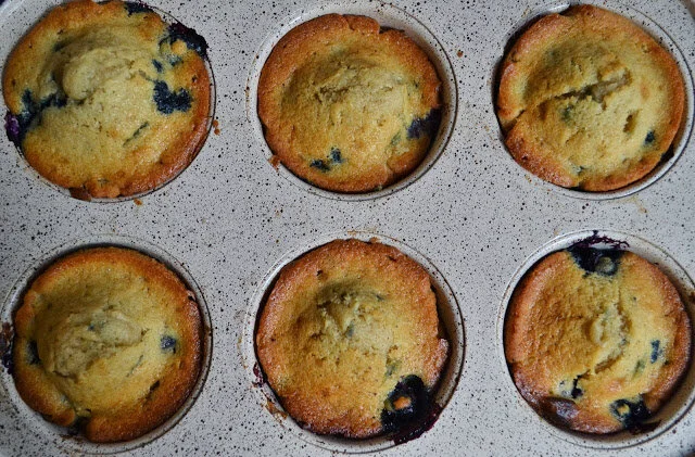 Blueberry Muffins