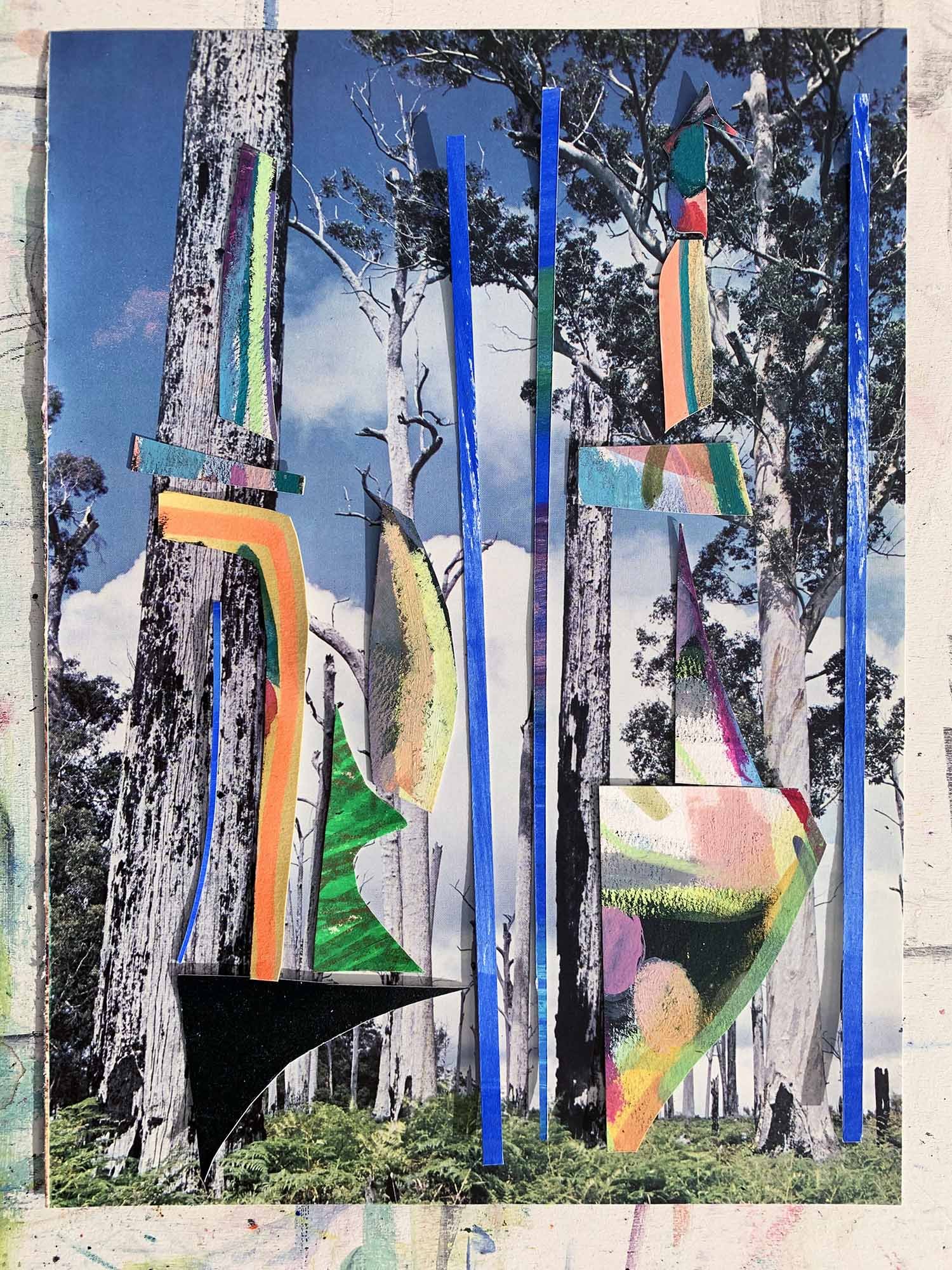 Alle Bomen van de Wereld / Trees Of The World (2024)