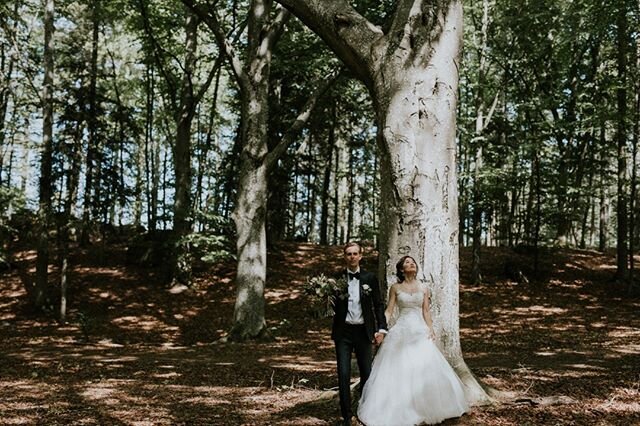 I've developed a taste for &quot;light pockets&quot; every time I shoot in a beautiful forest. Maybe it's the feeling of the beauty of coming out of darkness and looking for light. Standing in the light. Breathing light. &lt;3 Missing shooting weddin