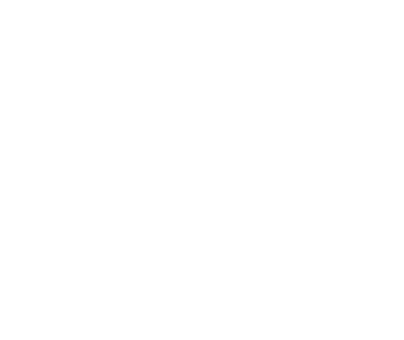 Vigor