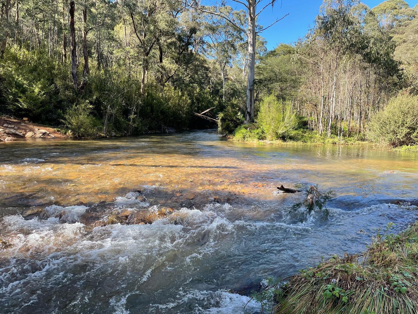 Stunning weather here in King Valley, just one more sleep til race day. I&rsquo;ve just marked the run course and letting you know the run course is different to the previous 12years. Besides the Evan&rsquo;s creek flowing much stronger the creek has