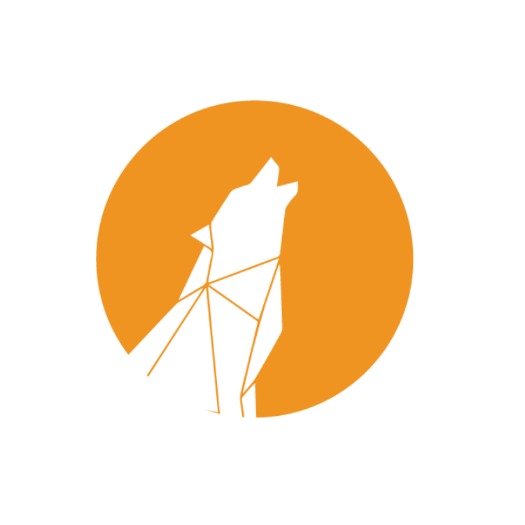 Northern Security Services