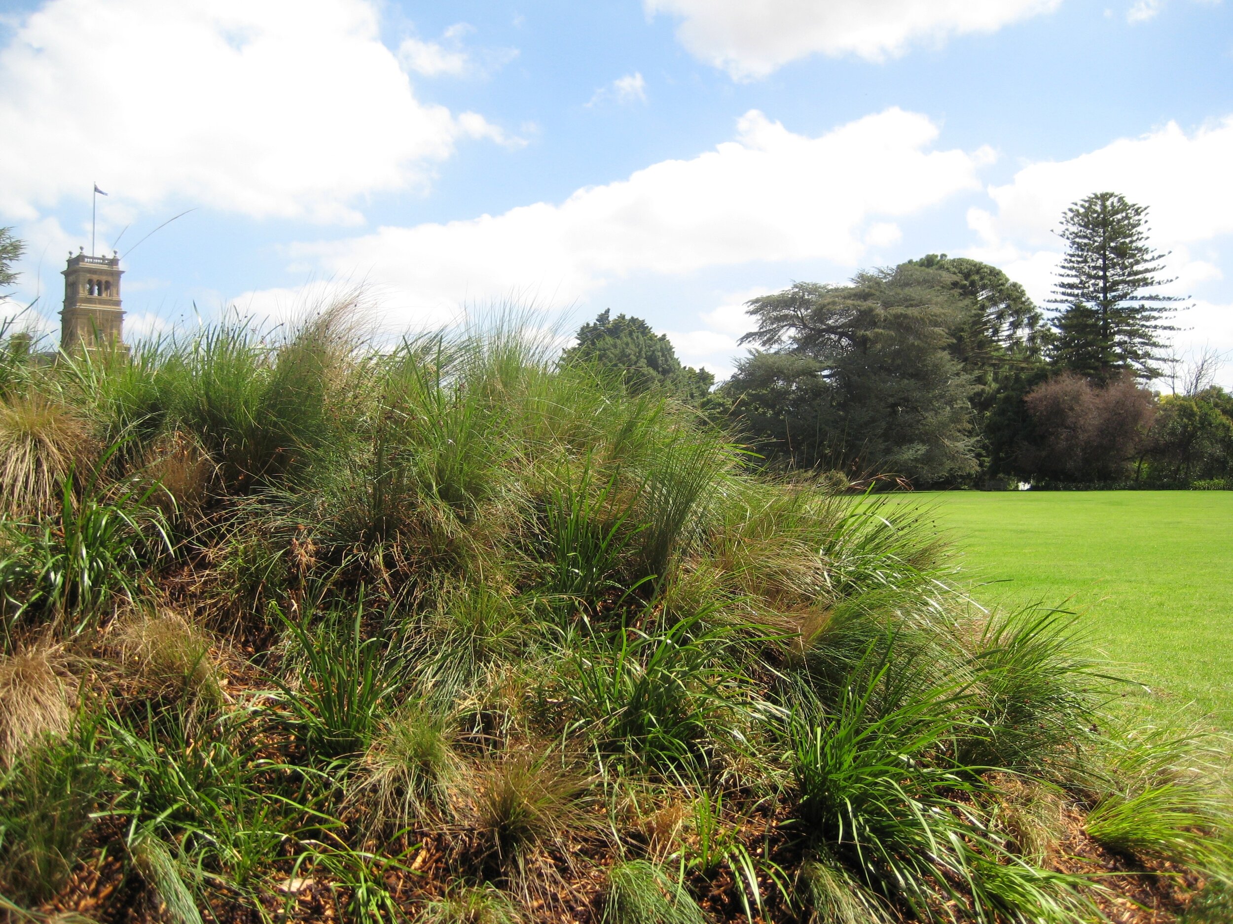 HaHa Reversed detail.JPG