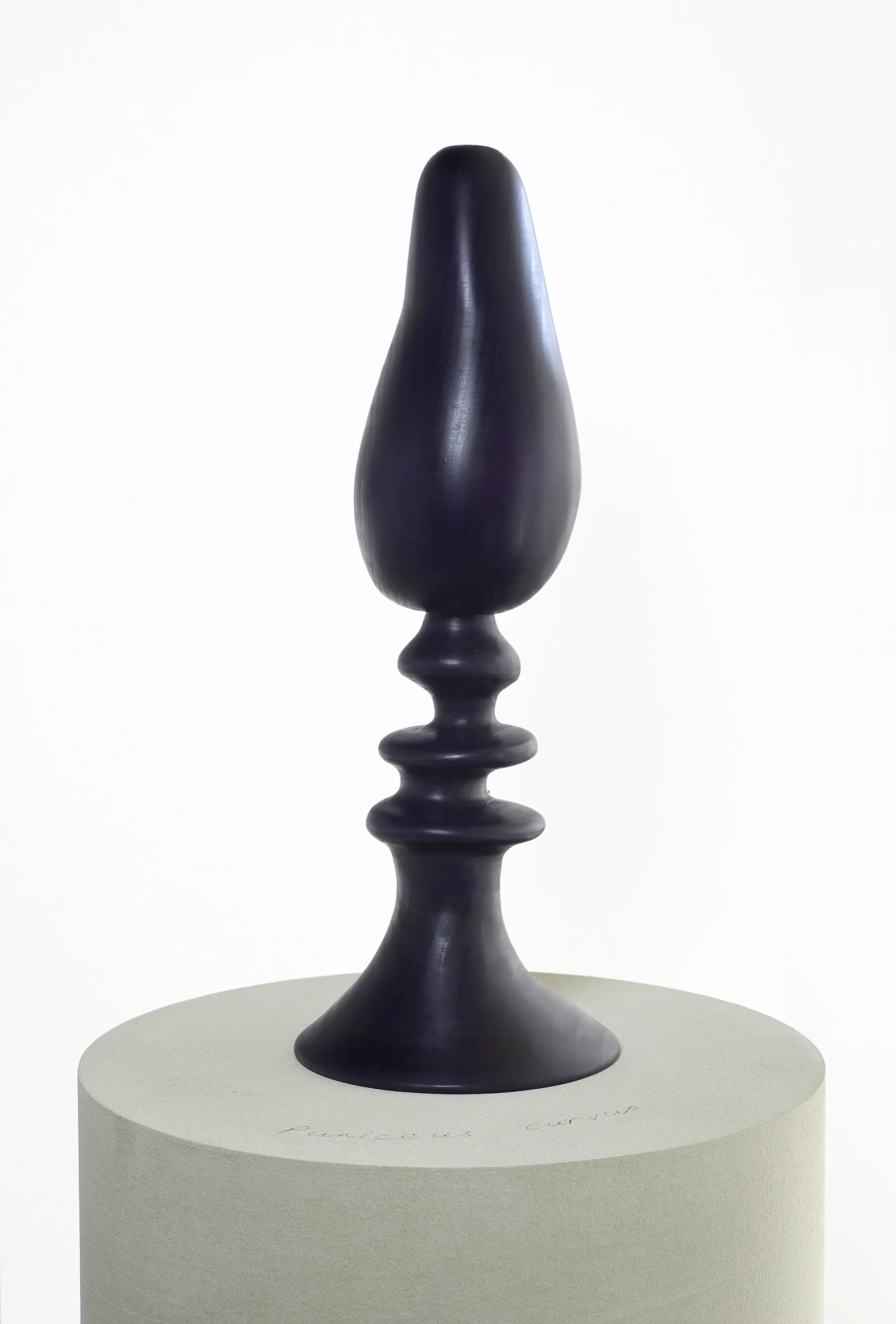Joanne Mott Puniceus curvus 2013 Wood, acrylic, beeswax 22x48cm res.jpg