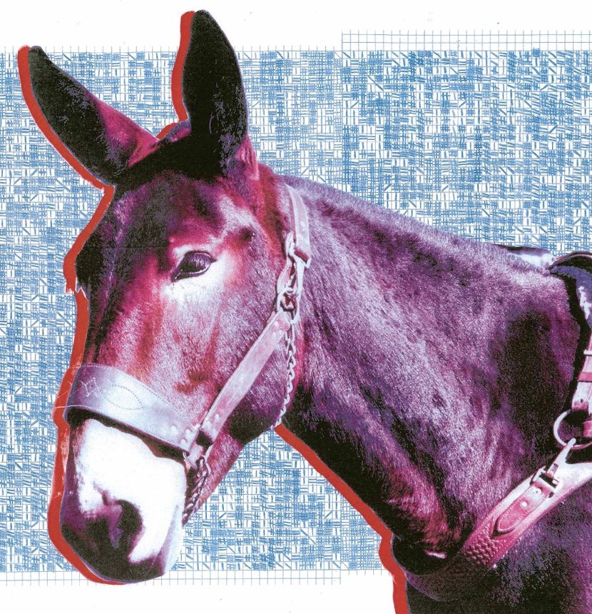  Protomartyr udgiver nyt album d. 29. maj 2020 – lyt til førstesinglen ‘Processed By The Boys’ nu