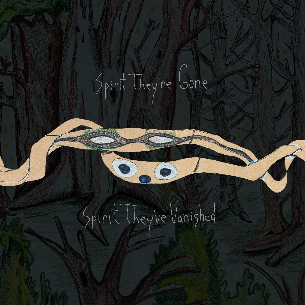 Animal Collective annoncerer genudgivelse af deres første album - Spirit They’re Gone, Spirit They’ve Vanished ude d. 12/5