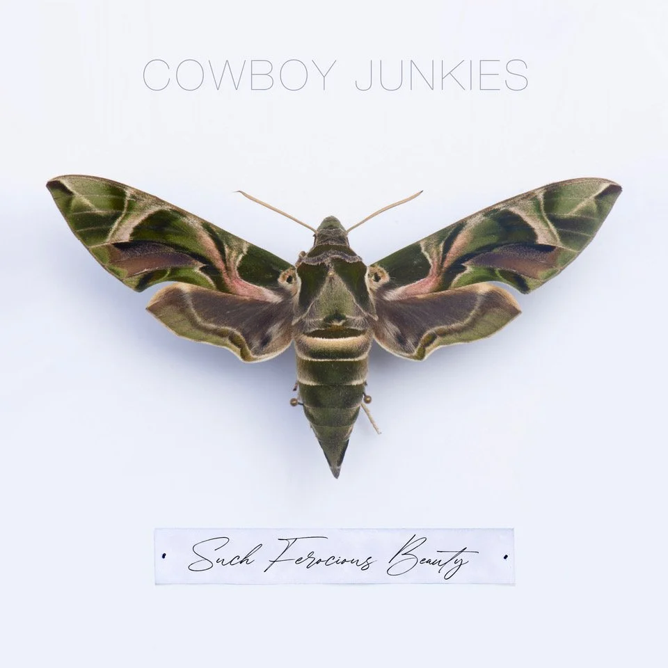 Cowboy Junkies annoncerer nyt album – Such Ferious Beauty ude d. 2/6