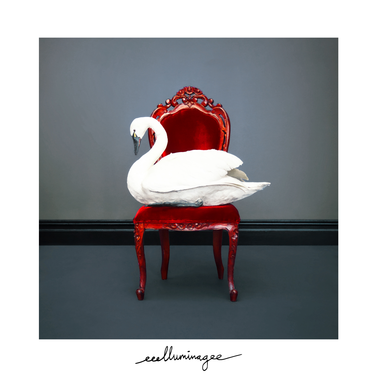 eee gee udgiver i dag den 21. maj, sit nye album, eeelluminagee