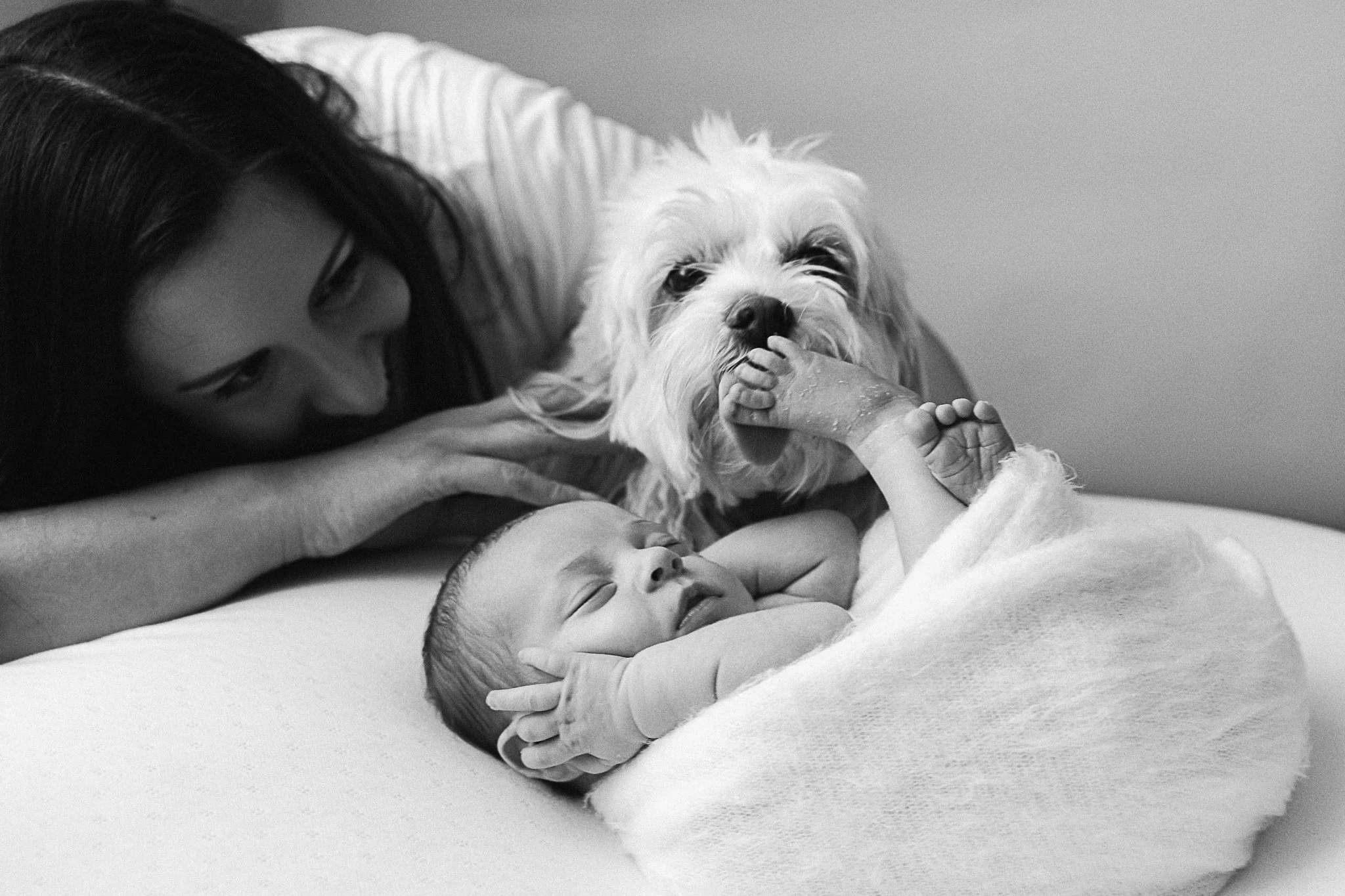 The baby and the Cavapoo | Featured newborn session | Cornwall newborn photographer