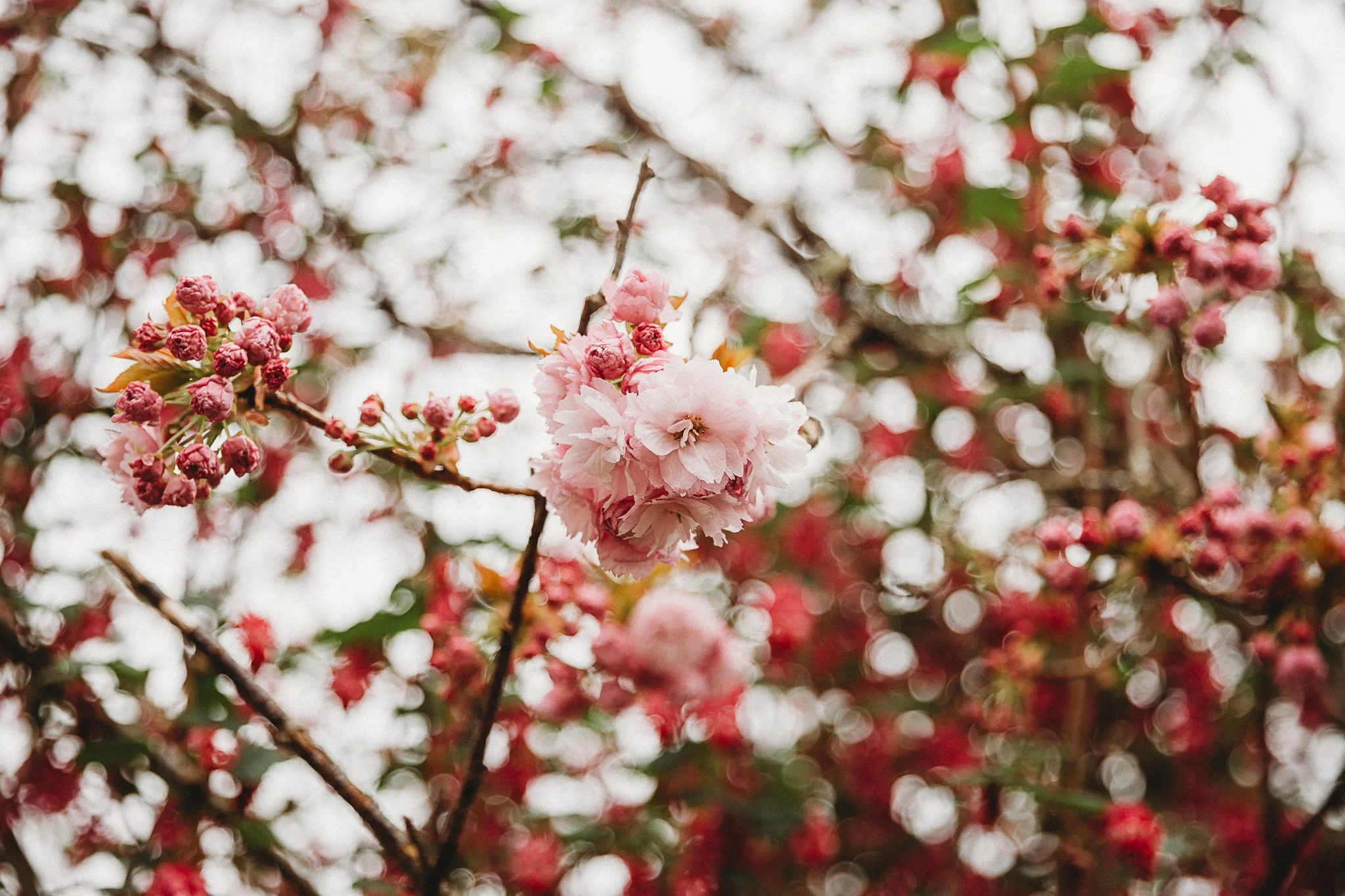 Tips for styling a Spring Photo Shoot in Cornwall