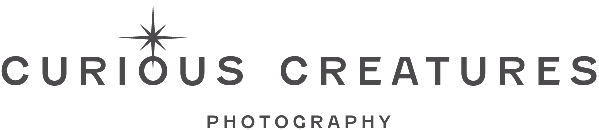Curious Creatures Photography