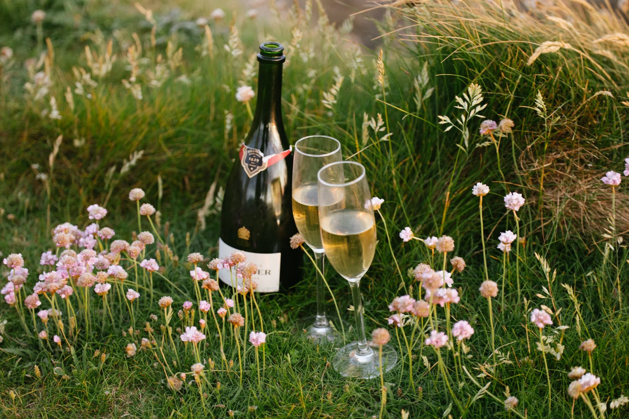 Surprise proposal photoshoot in Cornwall