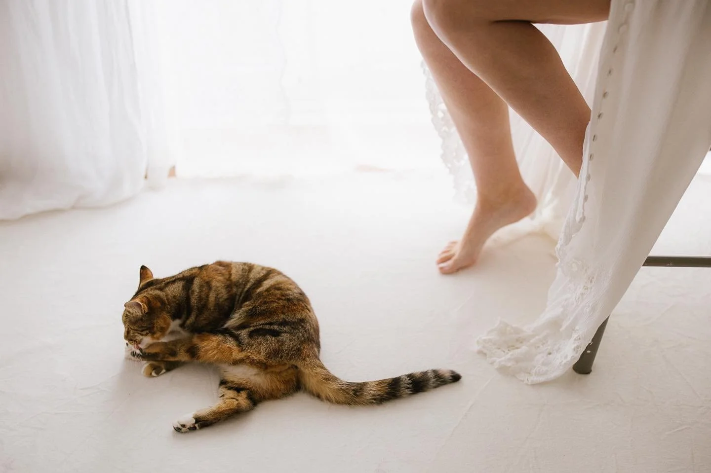 Occasionally we have a visitor during sessions - I have edited her out of countless photos, and it turns out I seem to attract a lot of cat people as she's very popular with the clients she meets - especially the little ones (who tend to get quite ob