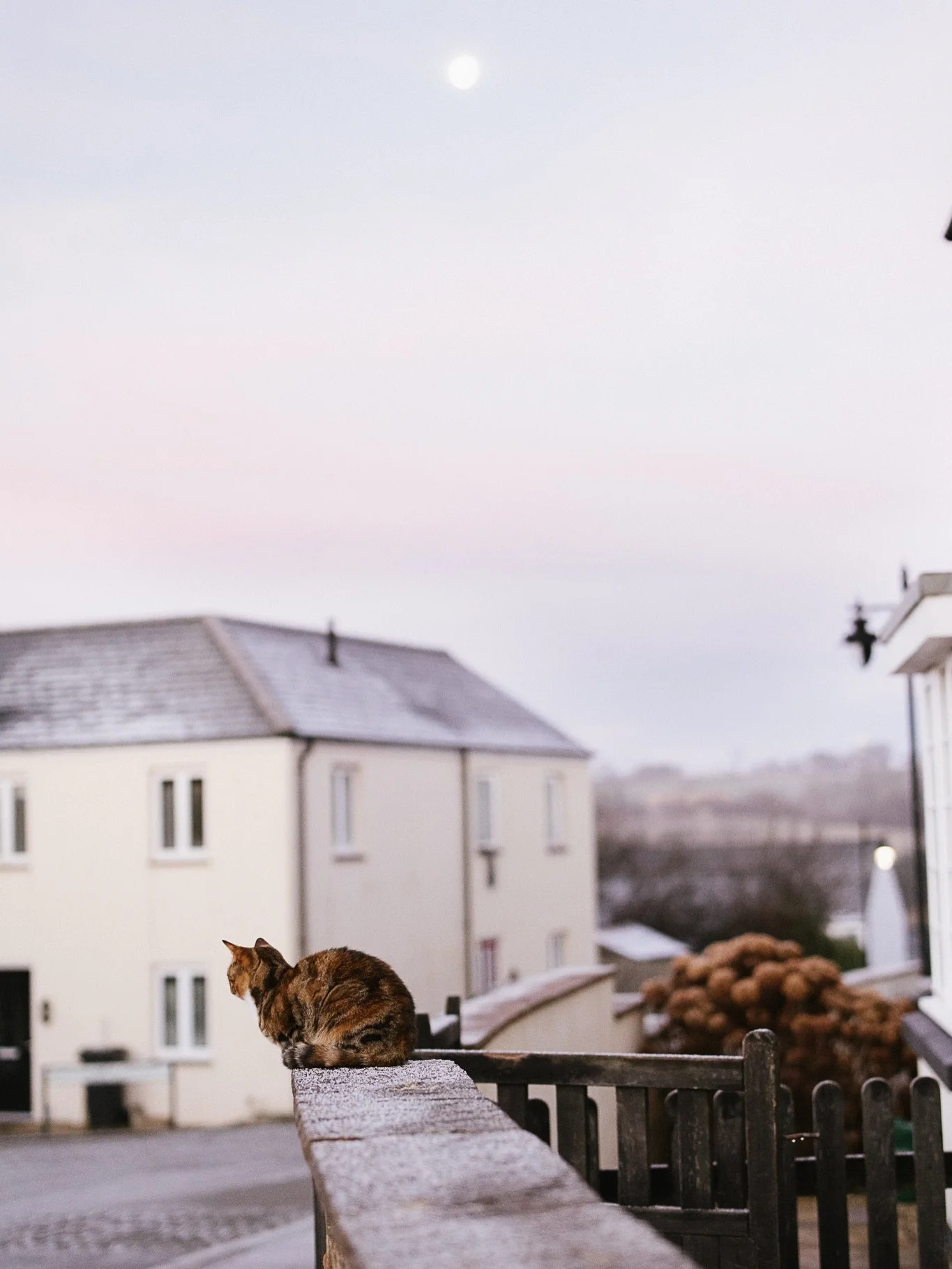 Wasn't it beautiful this morning! I have been having a slightly tough time (I'm blaming the moon and hormones) but it really struck me again today while driving through Tresillian (after a late school drop off) as the steam rose off the estuary in th