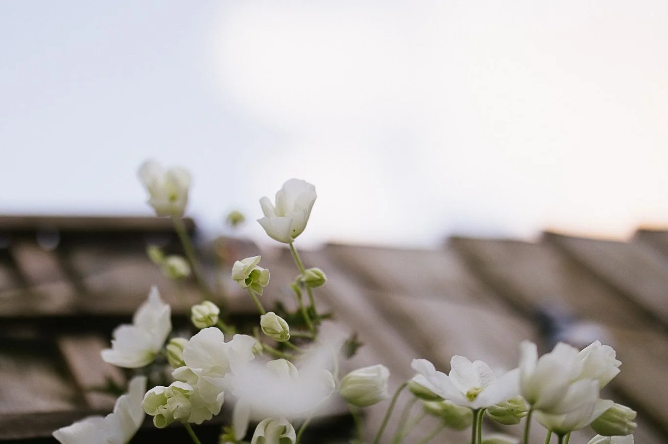 What a beautiful day! It's lovely feeling the sun and being outside - I have been luxuriating with a book on the hammock (The Art of Holding Space by @heatherplett in case you were wondering ☺️). 

Hope you had a great Sunday, ready for the new term 
