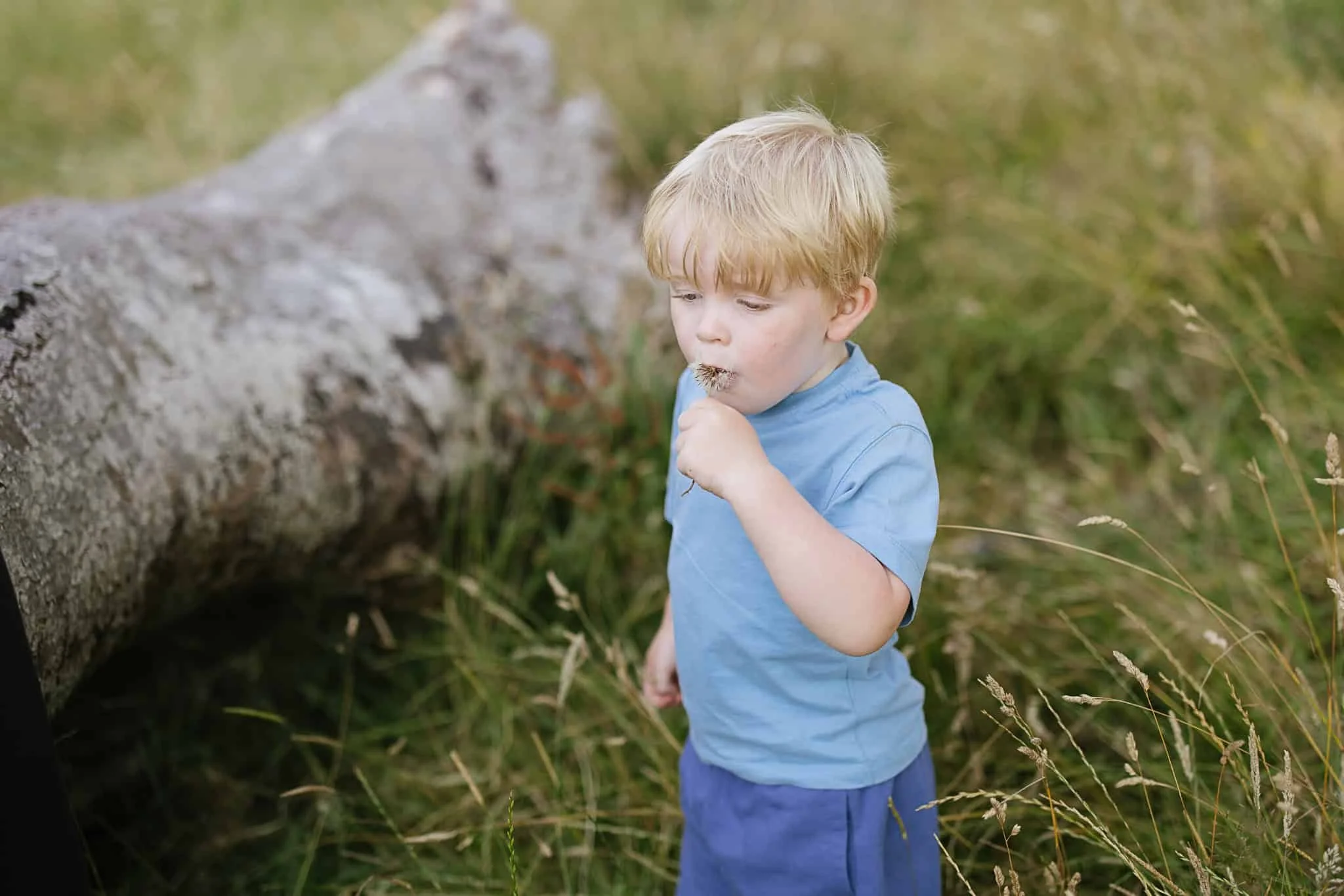 Family Photoshoot at Trelissick, Cornwall913A8429.jpg