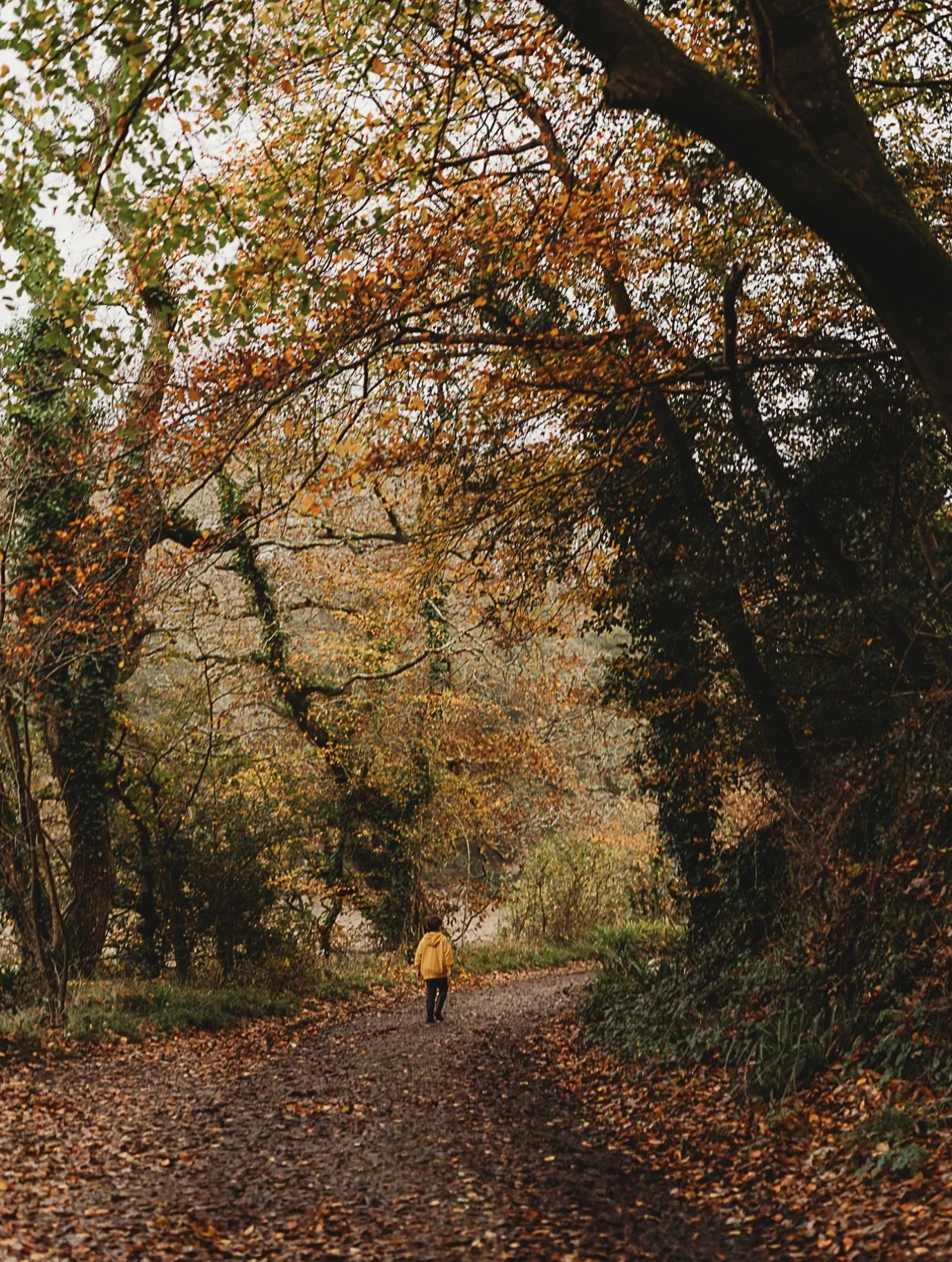 All the rich colours of autumn make the most beautiful backdrop for outdoor photo sessions 🍁Cornwall is full of spots which are easy to get to for a wellie walk in the leaves with me and my camera 😉 📷 

Visit the website or message me if you'd lik