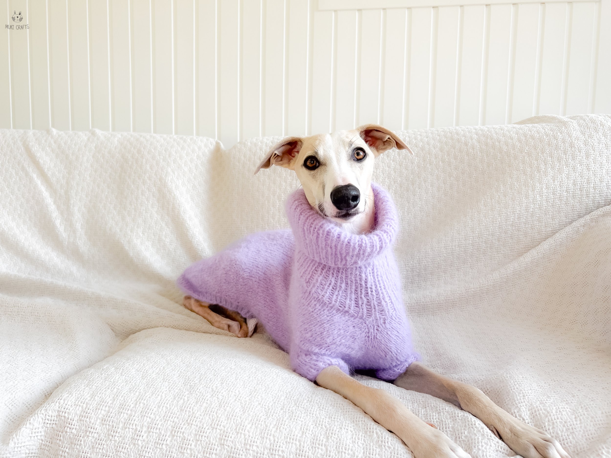 Doggo9-1.jpg