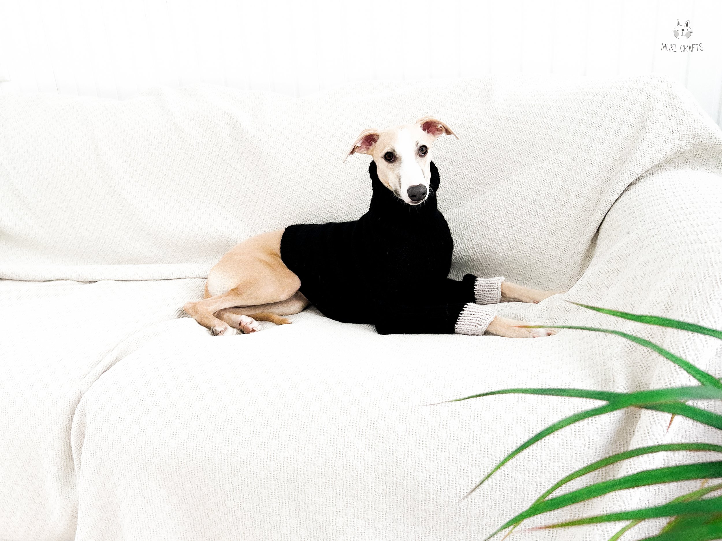 Doggo9-3.jpg