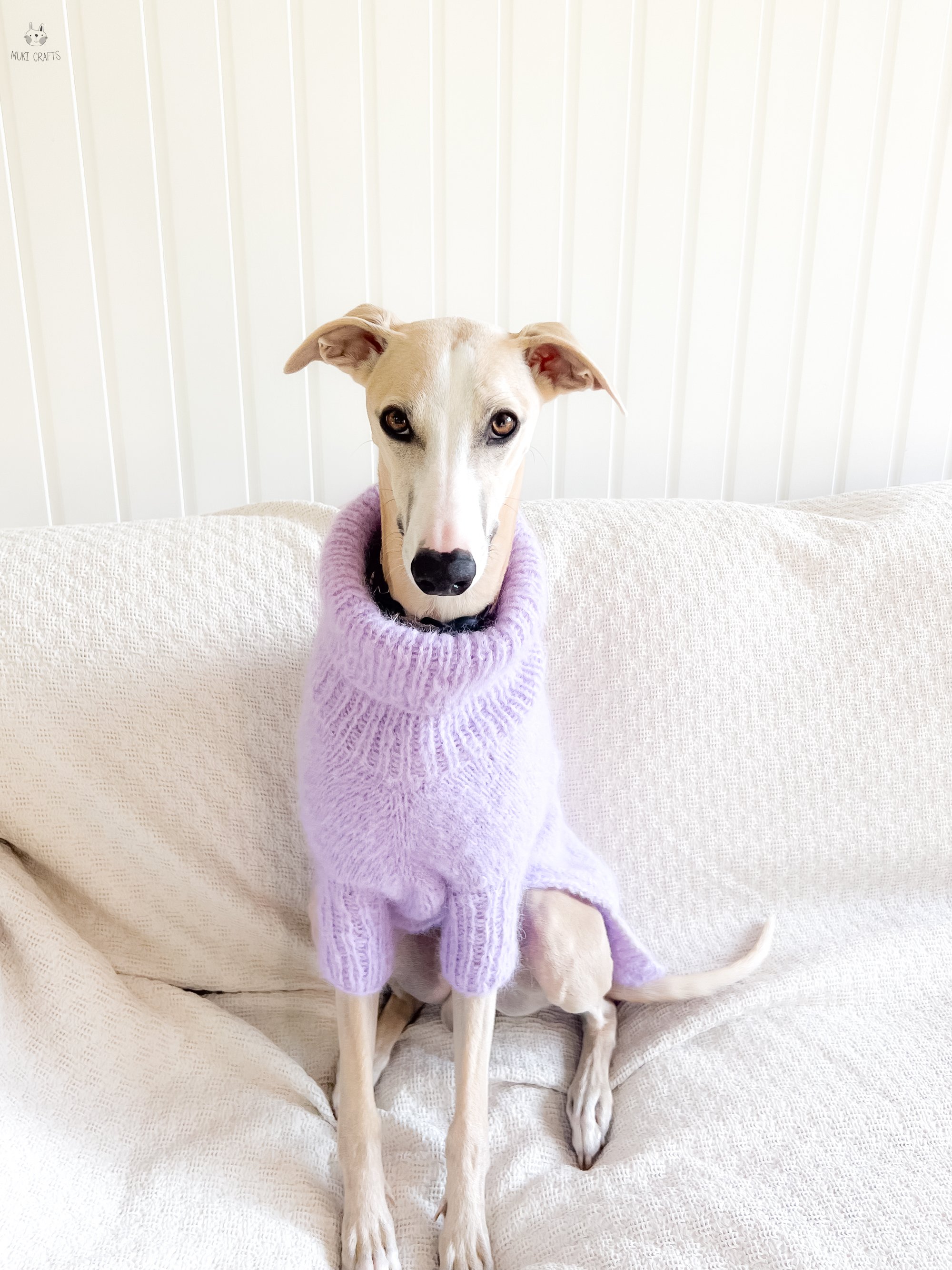 Doggo9-2.jpg
