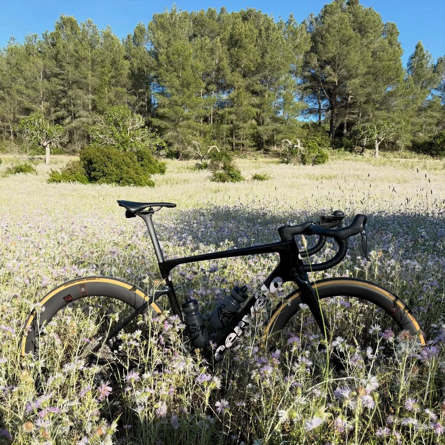 Peace and quiet, beauty, comfort, harmony&hellip; are we talking about the bike or the scenery? The Caledonia and Mallorca can offer both! 
Come and enjoy this bike and the other bikes from @cervelo with us.