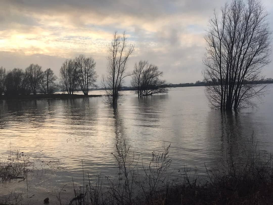 Deze vrijdag zijn we gesloten voor bestellingen, want we  hebben hoogwatervrij! Maandag staan we weer voor je klaar! 📷 @stans_ke