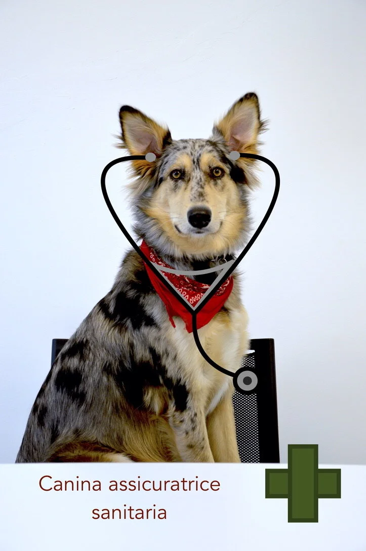 SSN e assicurazioni statali: in cosa ci aiuta lo Stato e in cosa meno.