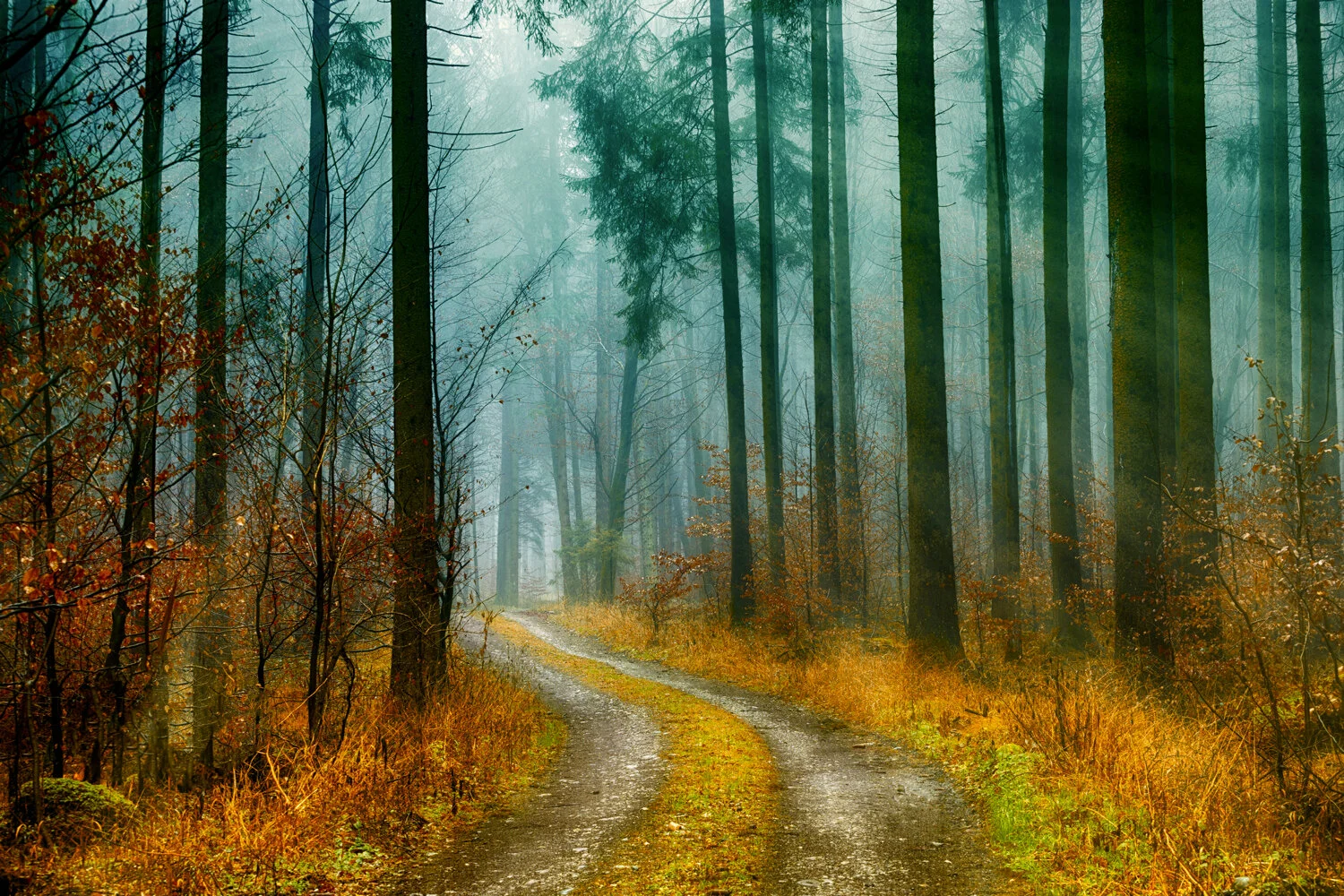 Fall-6.jpg