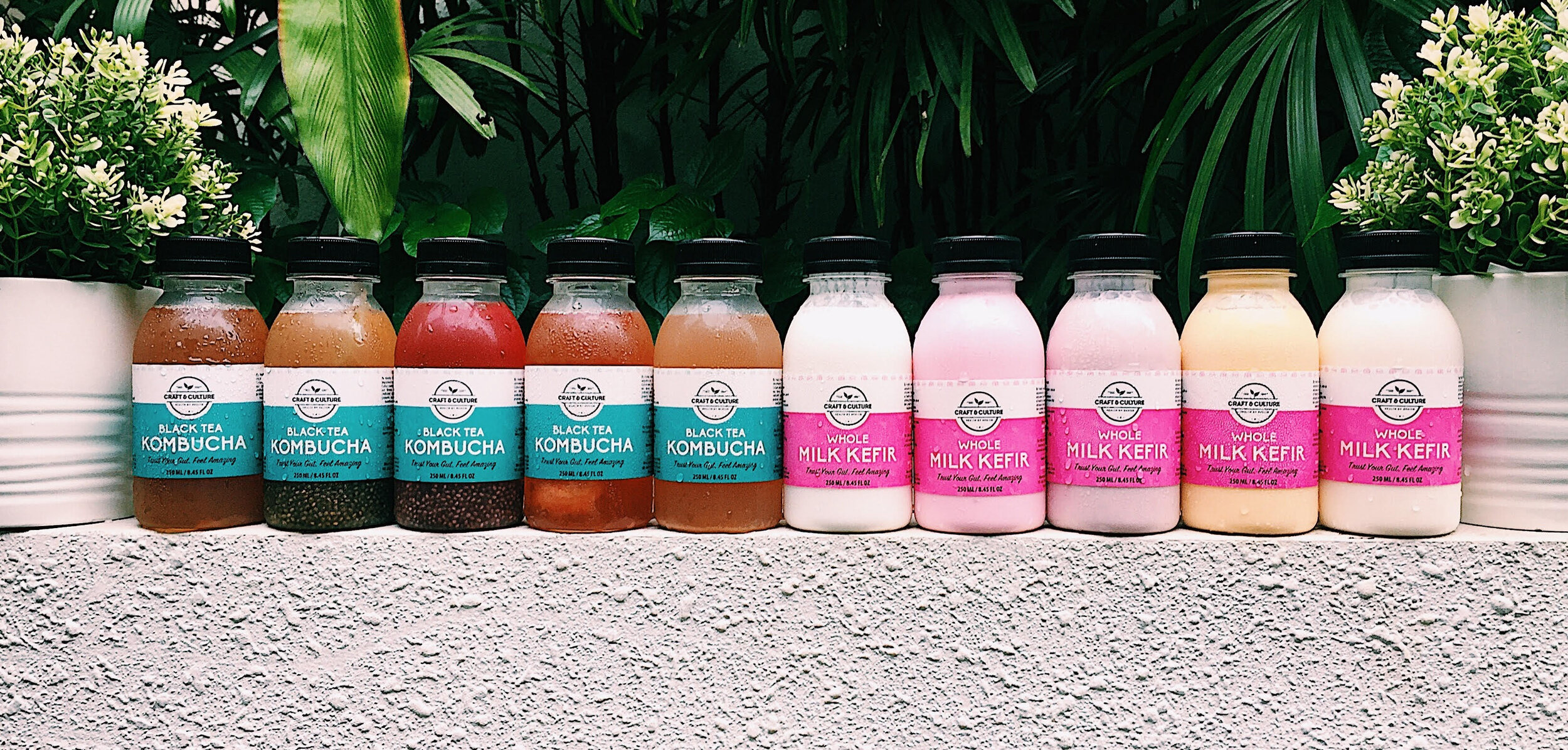 Delicious fermented drinks from Craft & Culture