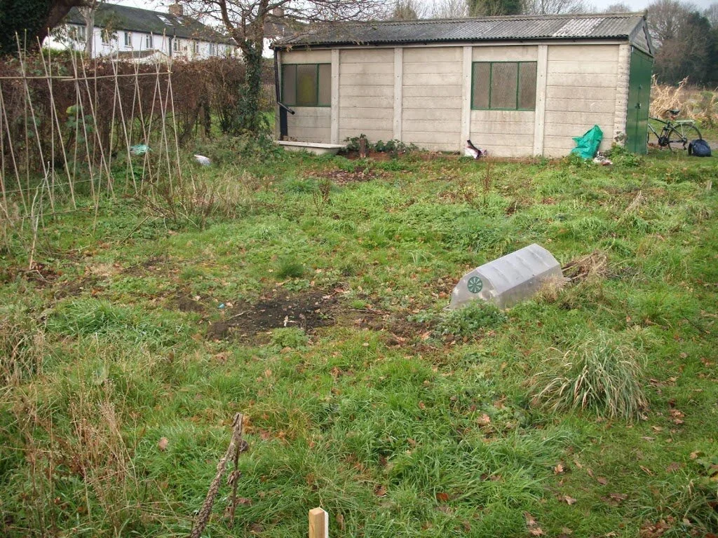 9 Months No-Dig Permaculture in Small Growing Space