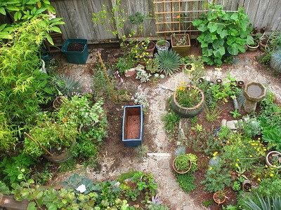 garden_arrangement.jpg
