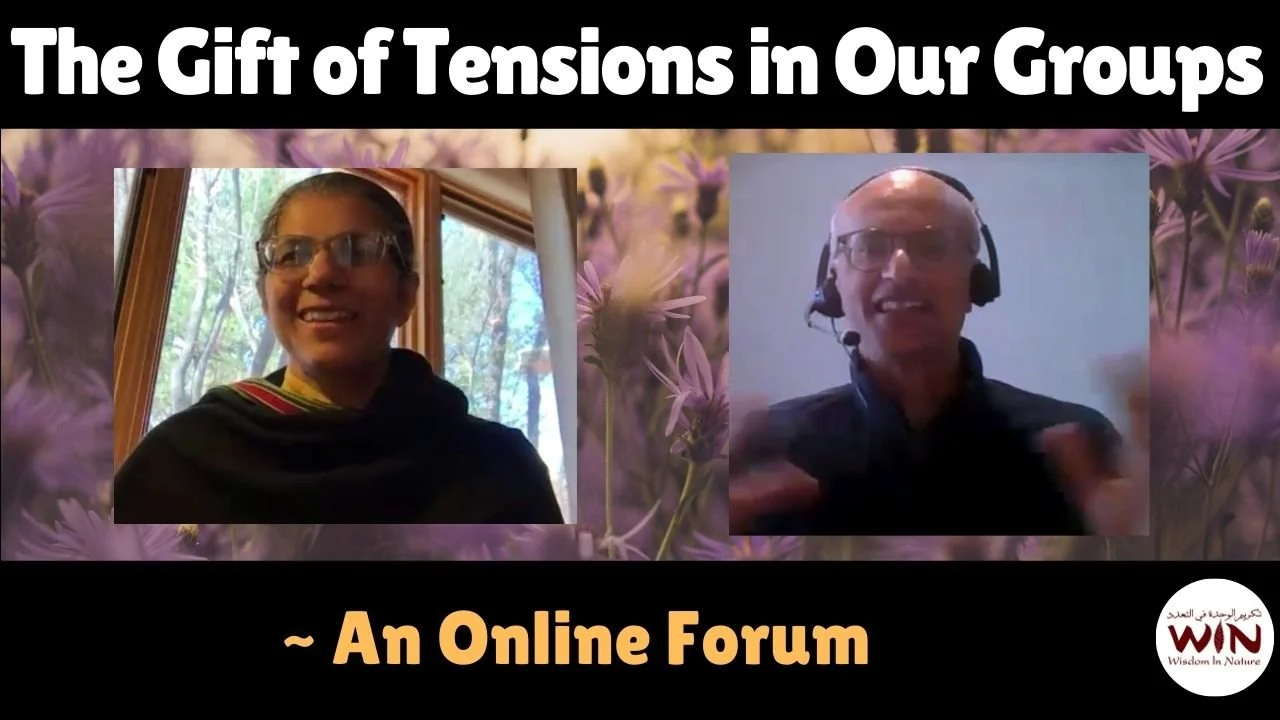 Personal and Collective Liberation through the Power of Felt Experience