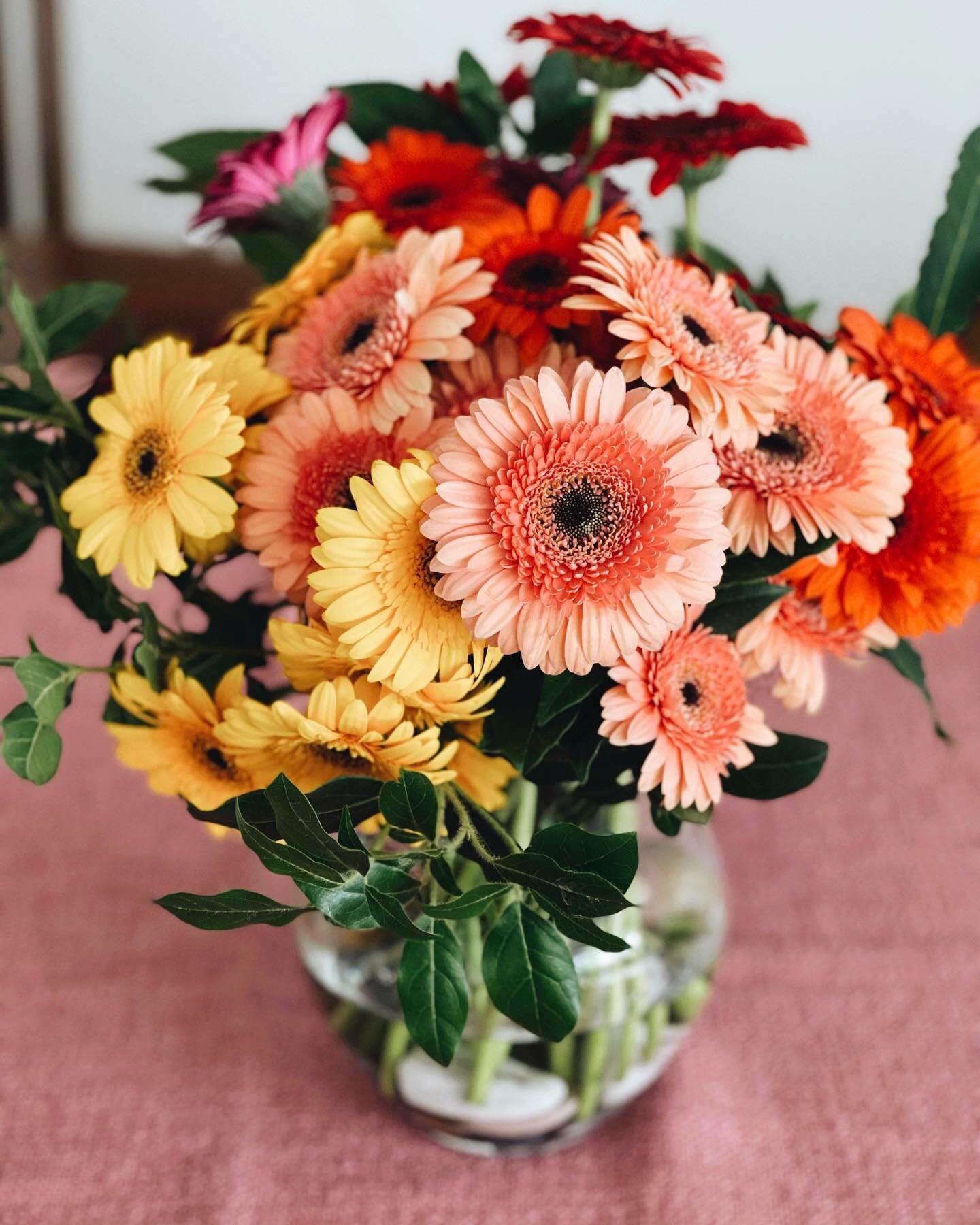 Repurposing 4-day old #gerberas from a tall (swipe to far ⬅️ to see original) to shorter and spunkier vase arrangement 
. . . 
www.thebaliflorist.com
. . . 
Less wrapping | no single-use vessels | #sustainablefloristry
. . . 
Inquiries on orders/work