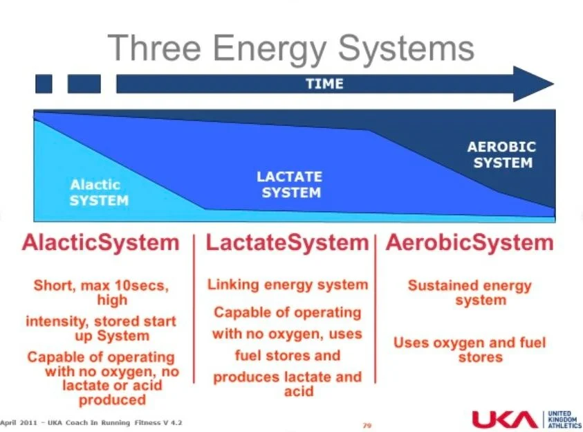 Energy systems and how to train them Running Groups Northern Ireland