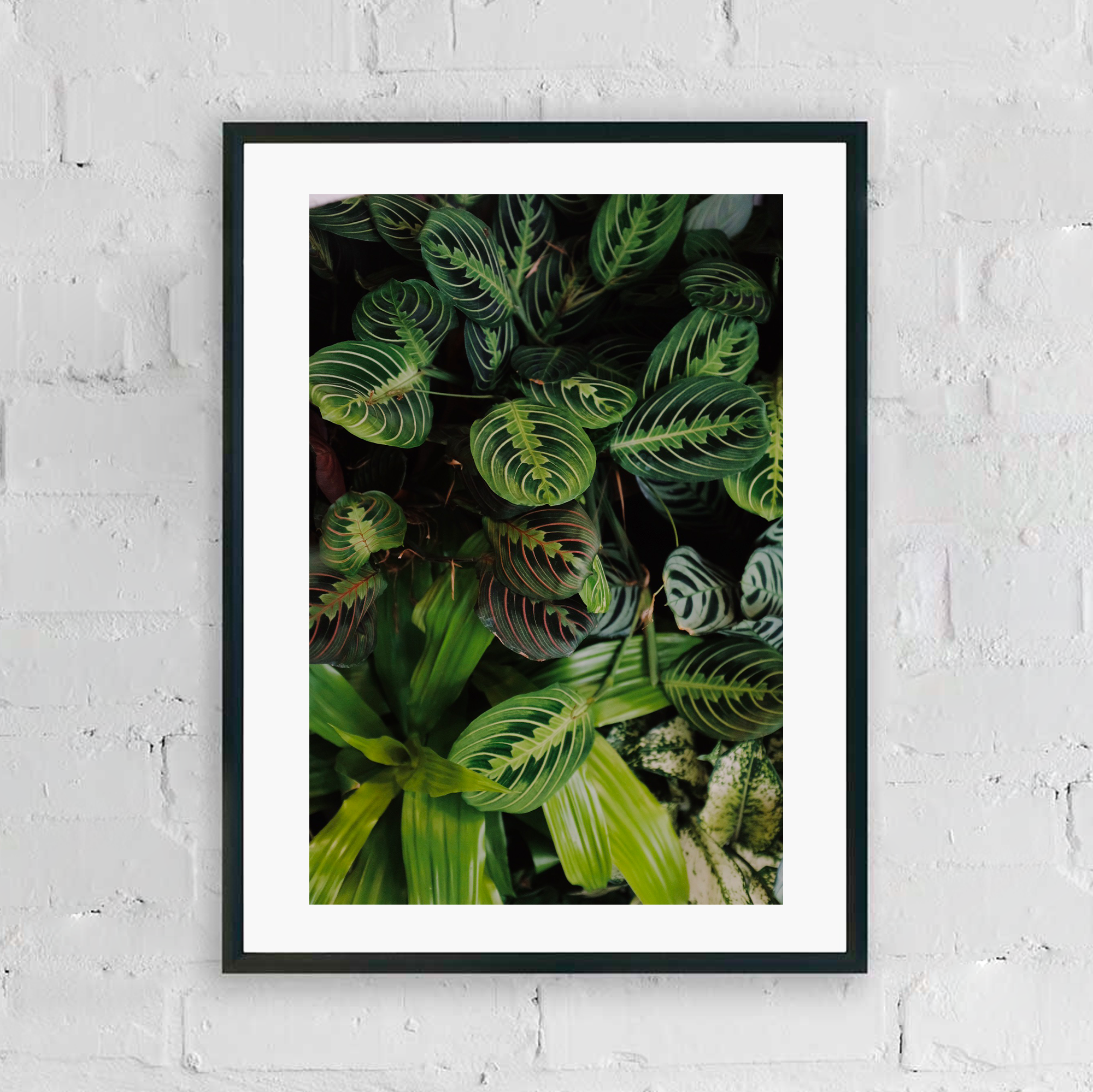 CATALOGUE CA JPGS 95.png