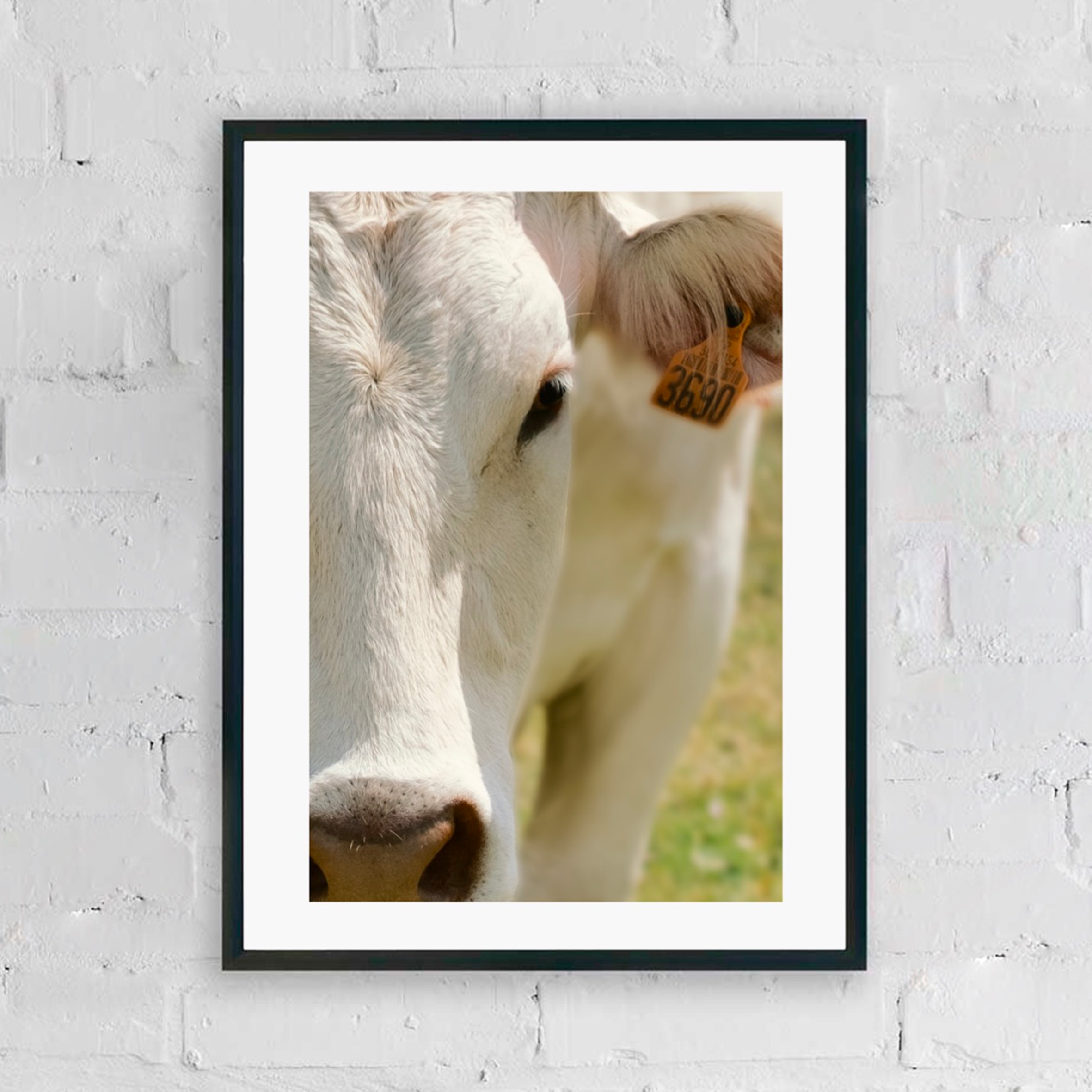 CATALOGUE CA JPGS 58.png