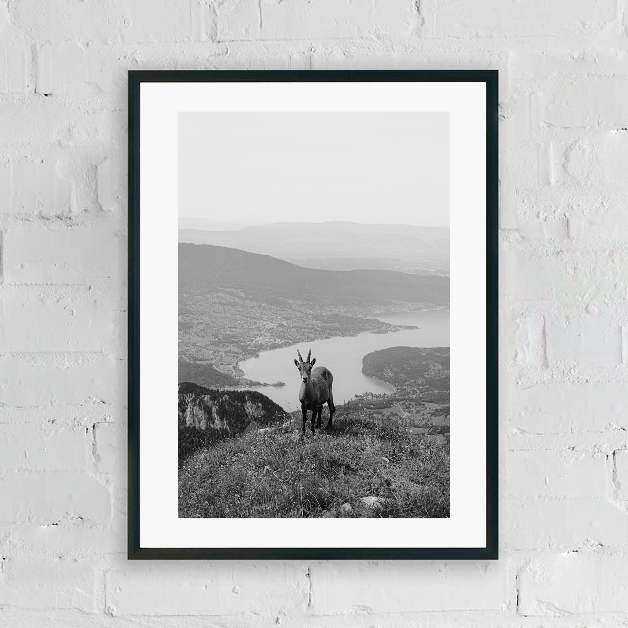 CATALOGUE CA JPGS 75.png