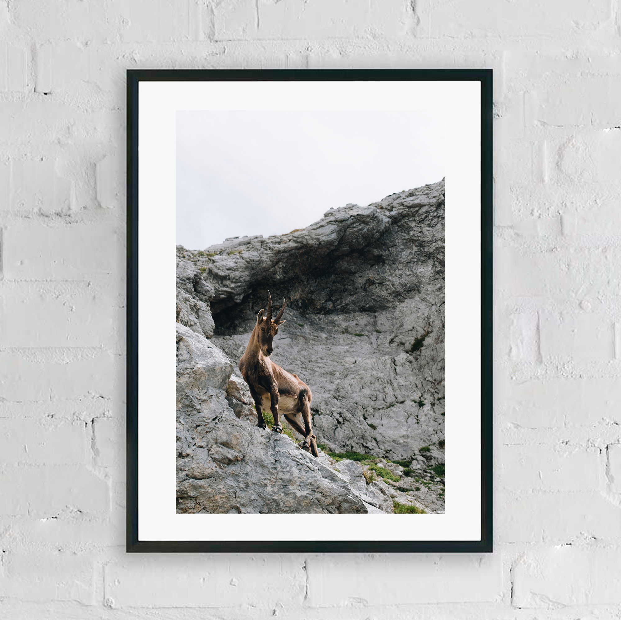 CATALOGUE CA JPGS 76.png