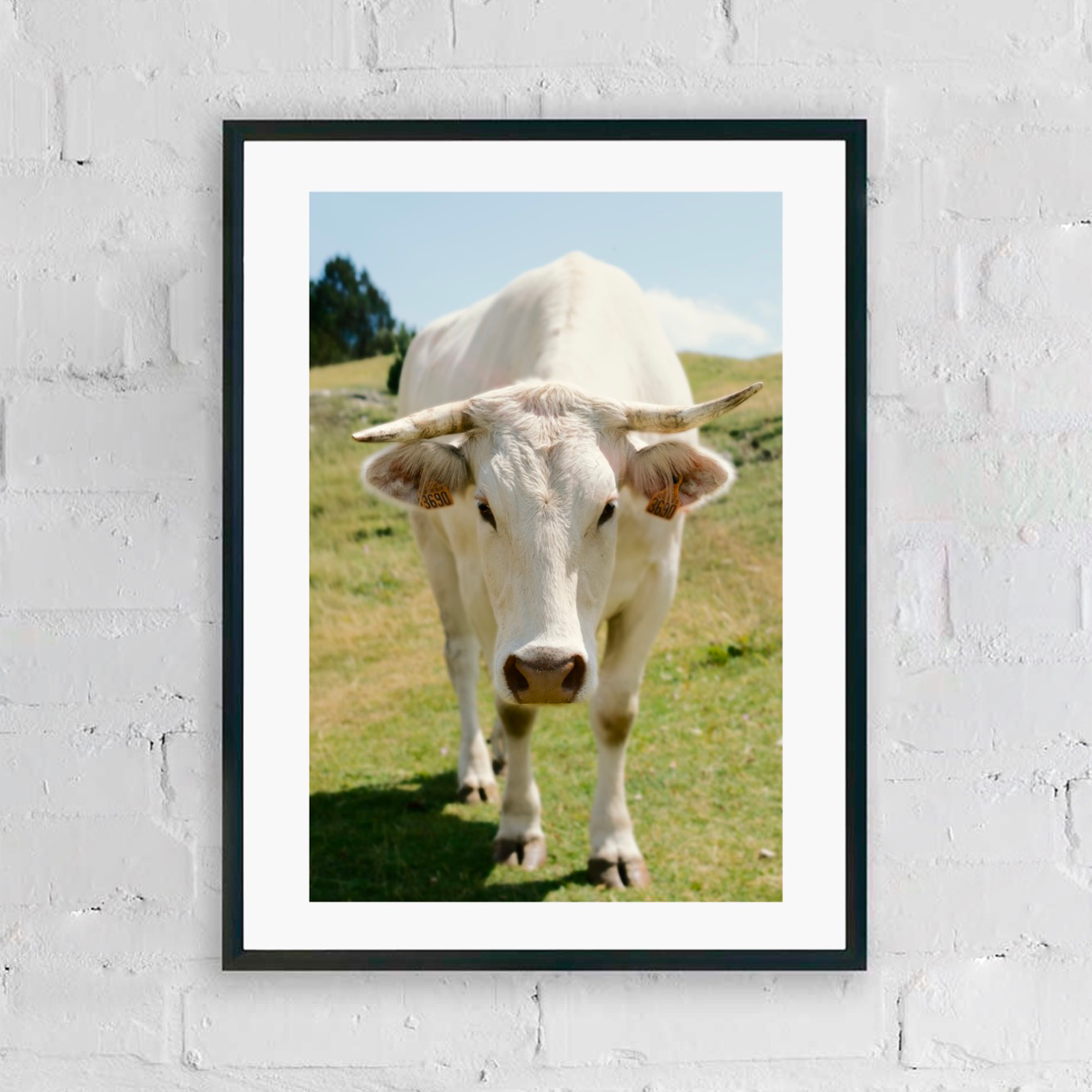 CATALOGUE CA JPGS 57.png