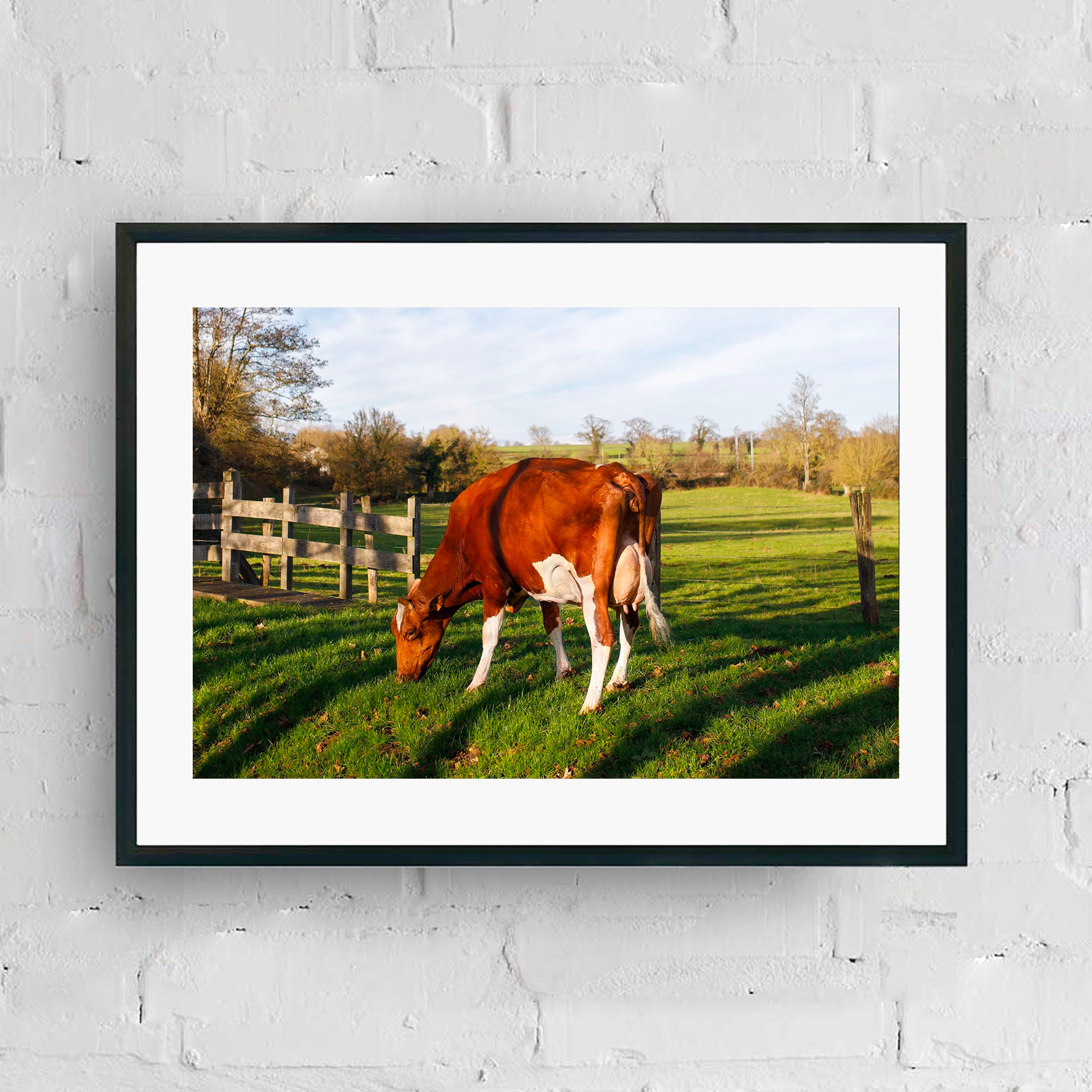 CATALOGUE CA JPGS 56.png