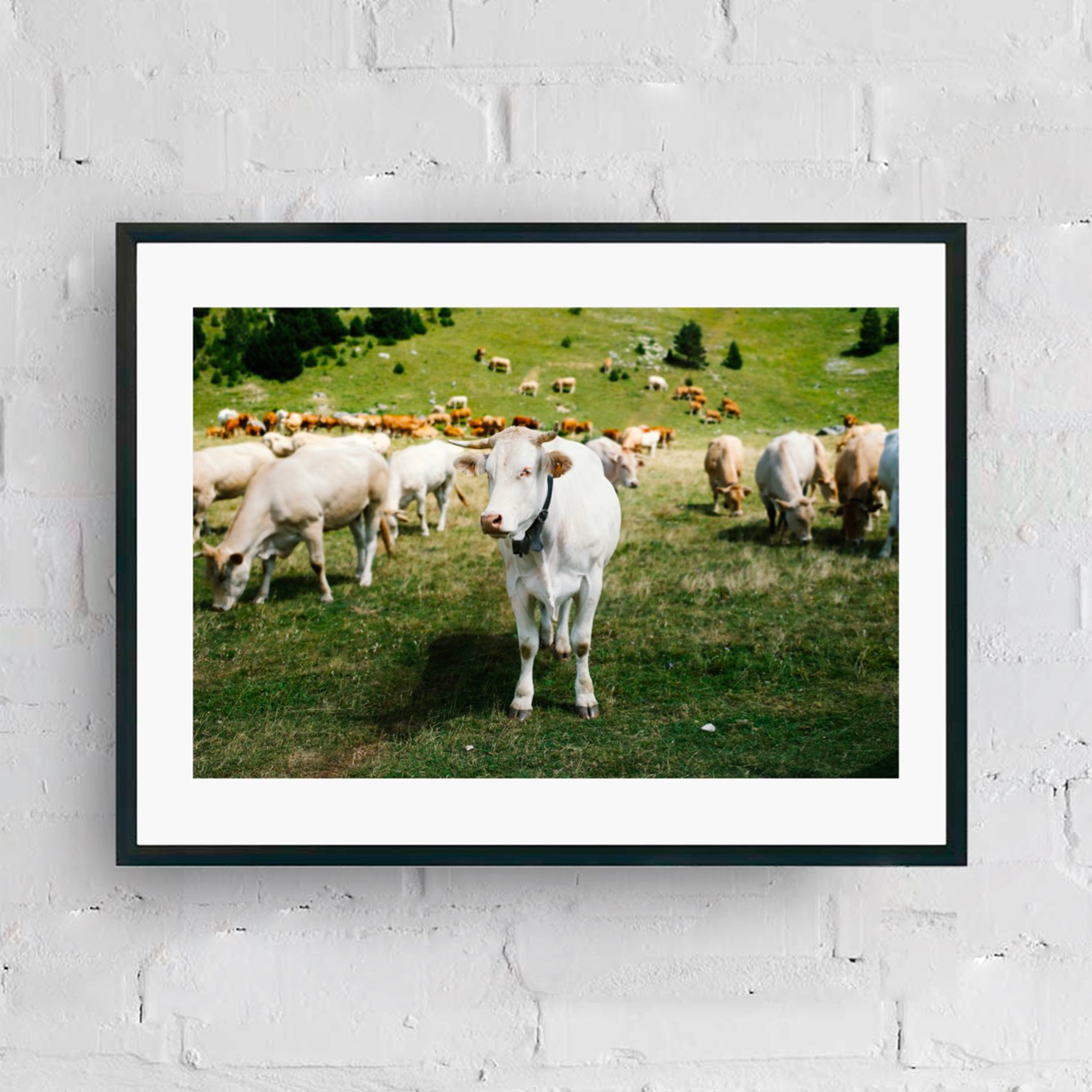 CATALOGUE CA JPGS 59.png